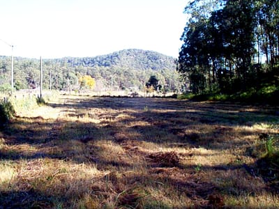 P002833.JPG