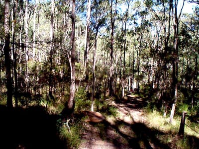 P002834.JPG