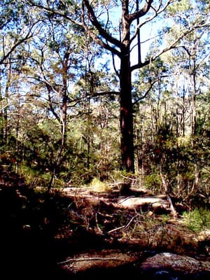P002835.JPG