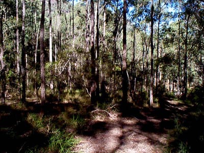 P002836.JPG