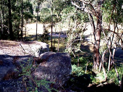 P002837.JPG