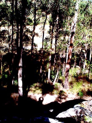 P002838.JPG