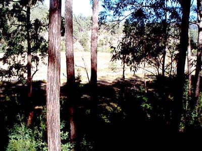 P002841.JPG
