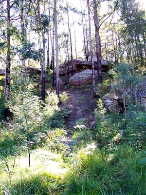 P002842.JPG