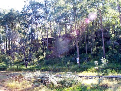 P002843.JPG