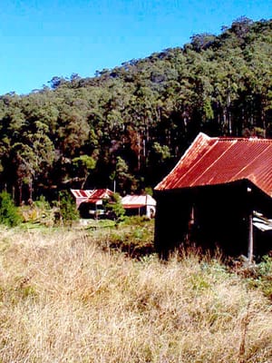 P002844.JPG