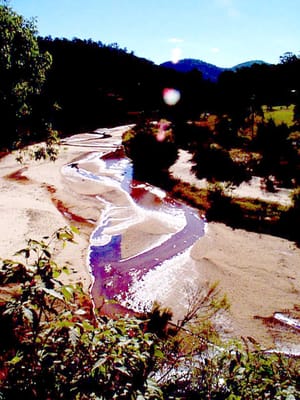 P002845.JPG