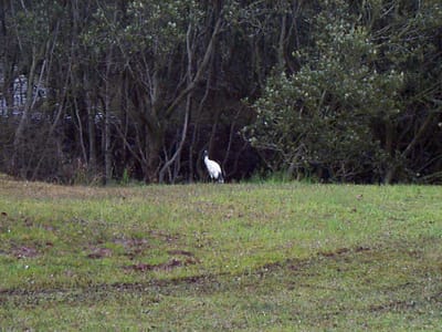 P000416.JPG