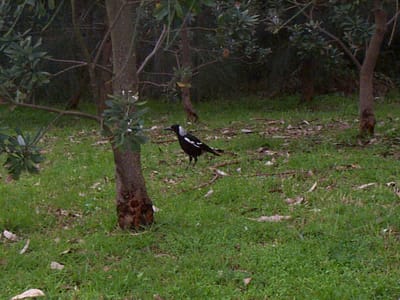 P000422.JPG
