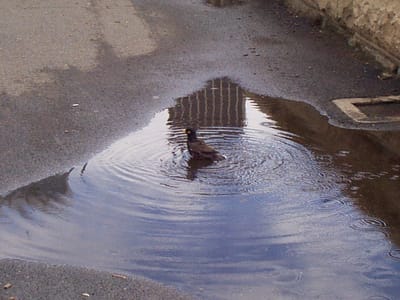 P000445.JPG