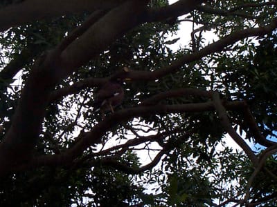 P000446.JPG