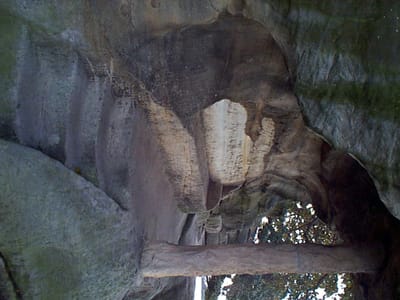 P000449.JPG