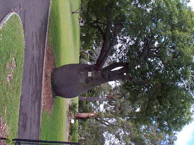 P000450.JPG