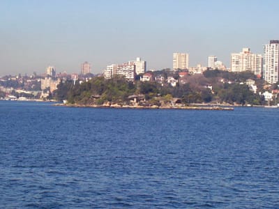 P000459.JPG