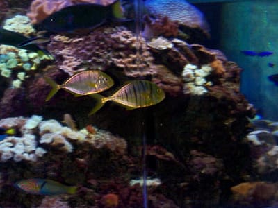 P000463.JPG