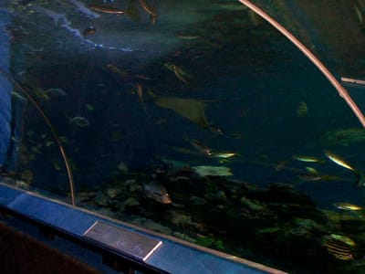 P000466.JPG