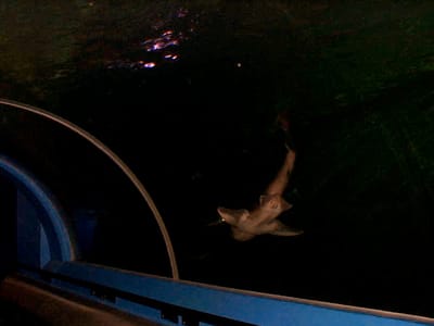 P000467.JPG