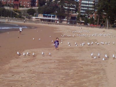 P000472.JPG