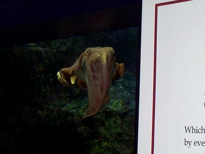 P000485.JPG