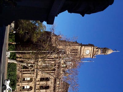 P000490.JPG
