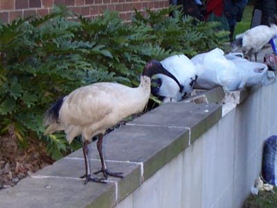 P000495.JPG