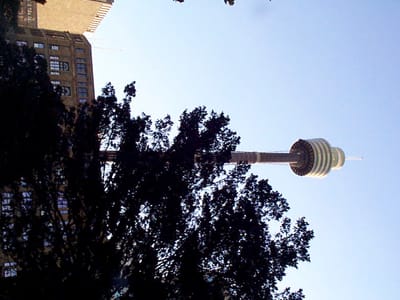 P000497.JPG