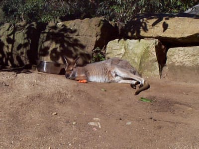 P000524.JPG