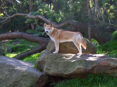P000528.JPG