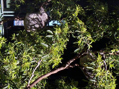 P000530.JPG