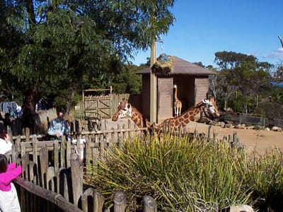P000533.JPG