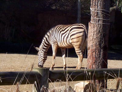 P000535.JPG