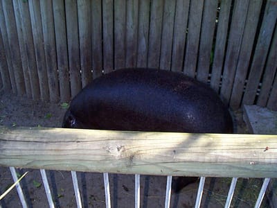 P000536.JPG