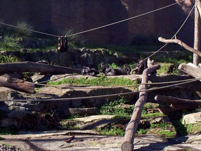 P000538.JPG