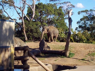 P000540.JPG