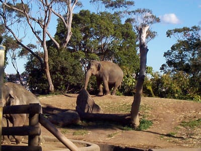 P000541.JPG