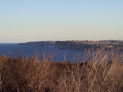 P000615.JPG
