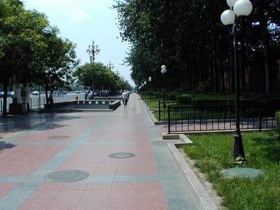 P6110382.JPG
