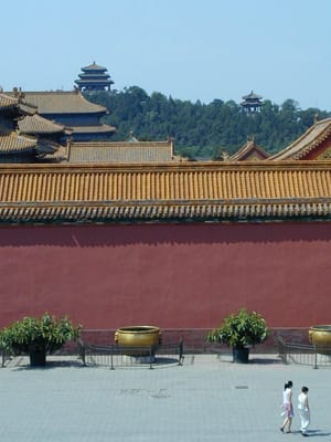 P6110448.JPG