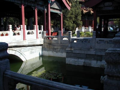 P6110466.JPG