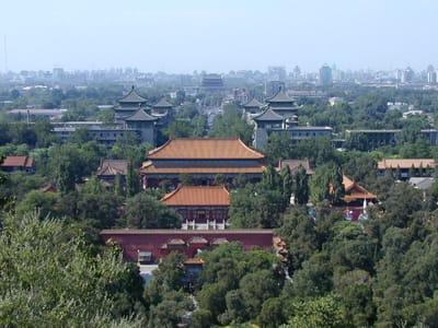 P6110490.JPG