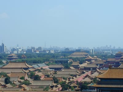 P6110492.JPG