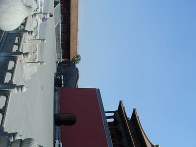 P6110400.JPG