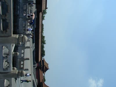 P6110407.JPG