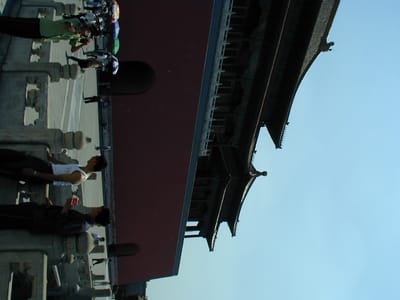 P6110410.JPG