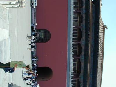 P6110412.JPG