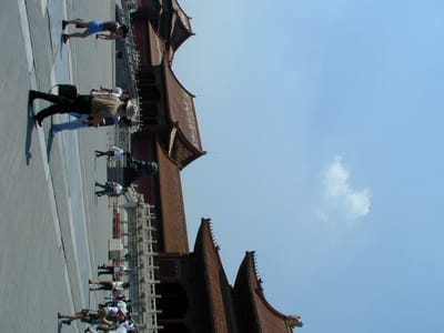 P6110416.JPG
