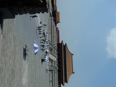 P6110433.JPG