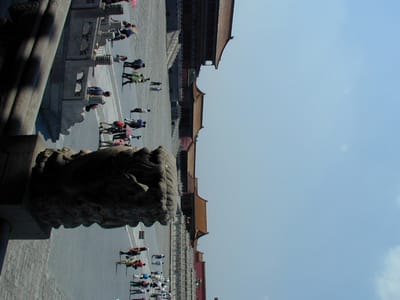 P6110434.JPG