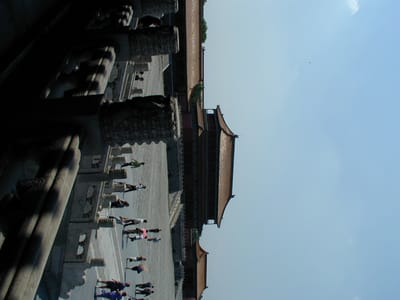 P6110435.JPG