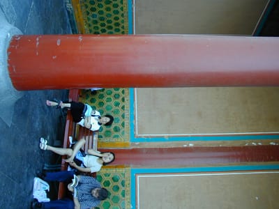P6110442.JPG